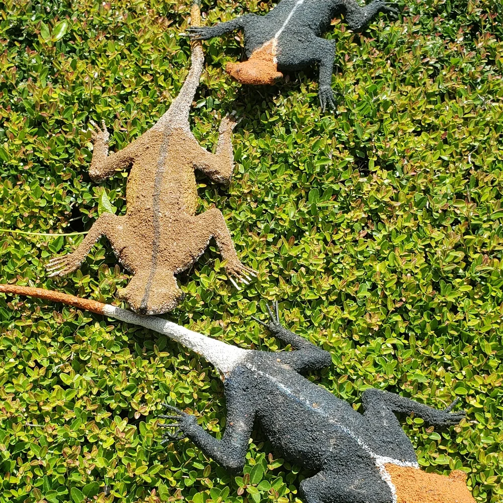 Reptile Habitat Wrought Iron Wall Decor with Black and Brown Accents Set of 3
